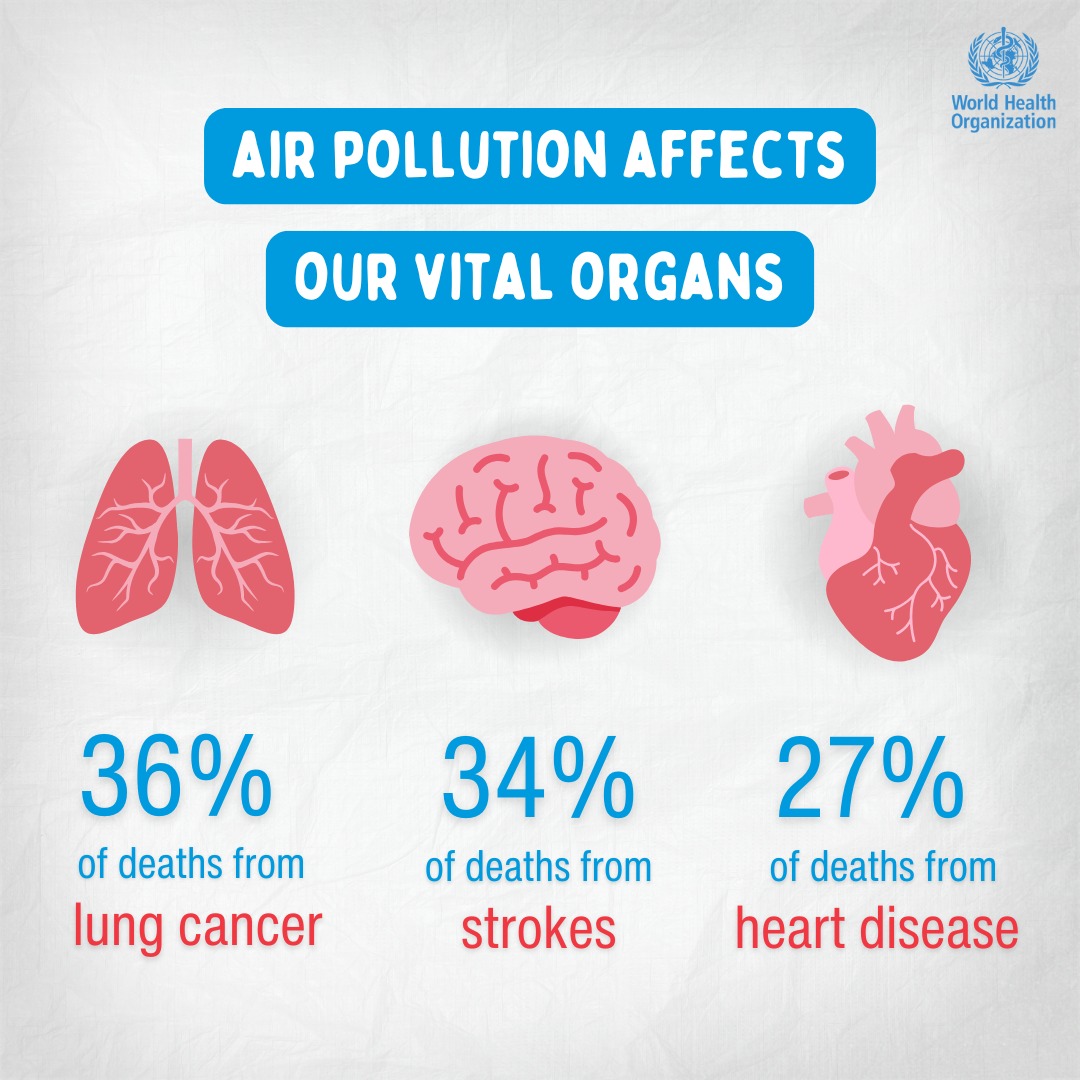 PM2.5 çirklənməsi - Sağlamlığa görünməz təhlükə