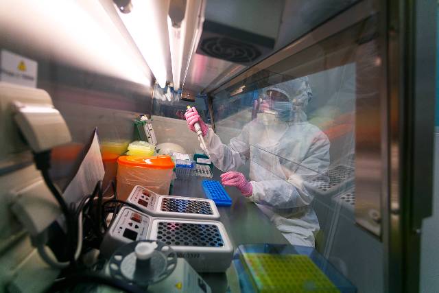 Alimlər onkologiya ilə əlaqəli hüceyrə zülalının funksiyalarını aydınlaşdırıblar  