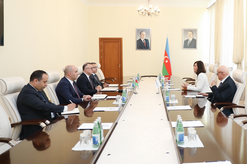 Teymur Musayev: “Qlobal Fondun Azərbaycandakı fəaliyyəti vərəmlə mübarizəyə böyük töhfədir”