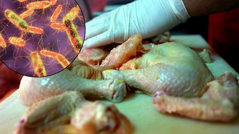 Salmonella xəbərdarlığı: Ət və toyuq yaxşıca bişirilməli, gigiyena qaydalarına ciddi əməl edilməlidir