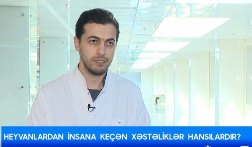 İnfeksionist xəbərdarlıq edir: Zoonoz xəstəliklərə qarşı diqqətli olun!