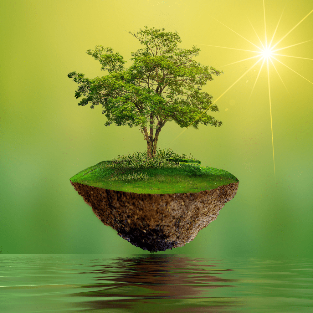 5 İyun – Ümumdünya Ətraf Mühitin Mühafizəsi Günü: Təbii sərvətlərimizi qoruyaq!