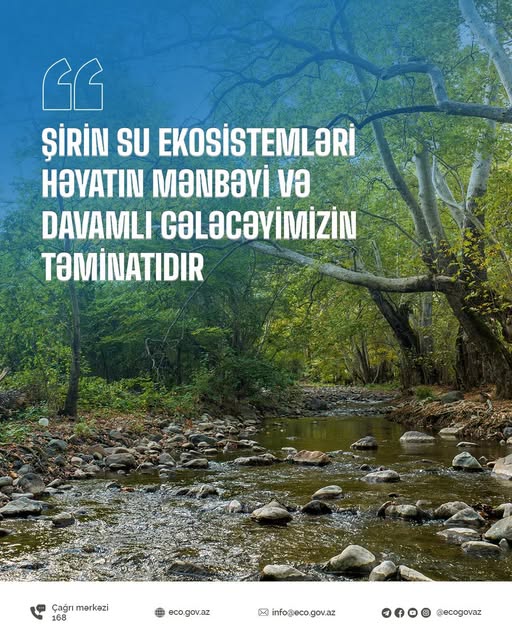 Şirin su ekosistemləri həyatın mənbəyi və gələcəyimizin təminatıdır