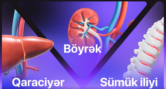 İcbari tibbi sığorta ilə təminata alınan orqan transplantasiyası əməliyyatları haqqında məlumat almaq üçün videonu sona qədər izləyin.