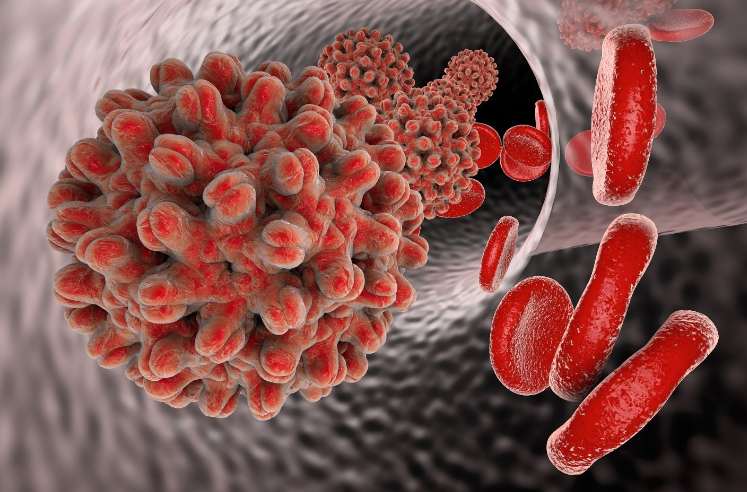 Virus infeksiyalarına qarşı universal preparat yaradılıb