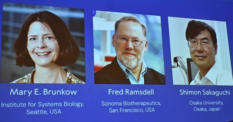 Fiziologiya və ya tibb üzrə Nobel mükafatı laureatlarının adları açıqlanıb