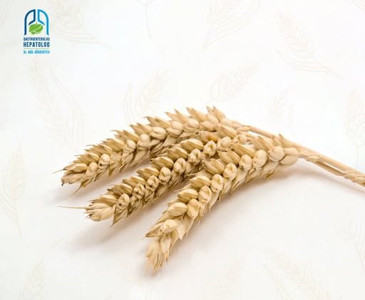 Həkim həzm prosesində pozulmanın gizli səbəbi barədə xəbərdarlıq etdi