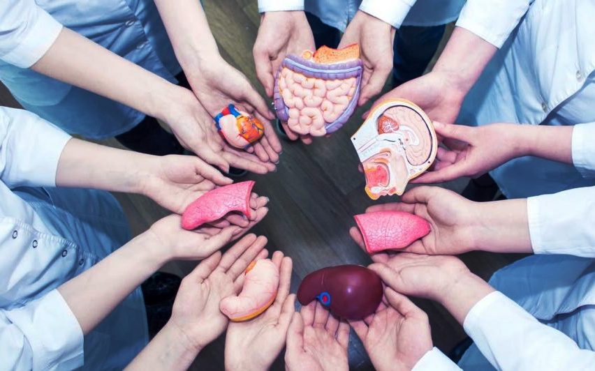  Həyat xilas edən orqan transplantasiyası əməliyyatları necə koordinasiya olunur?   