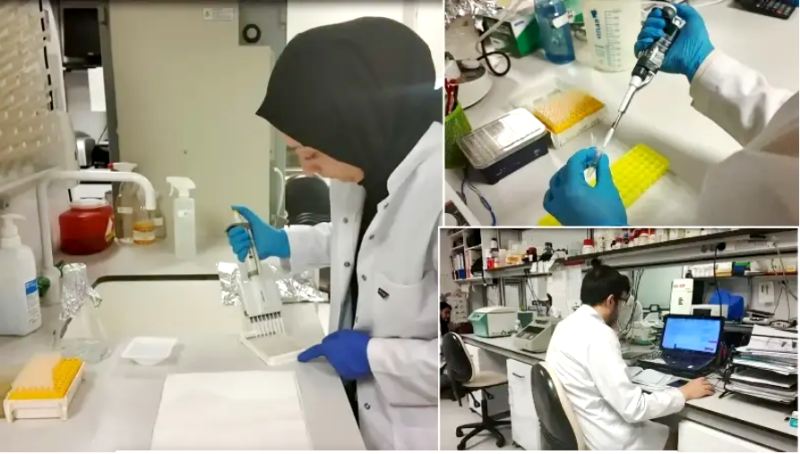 Ərciyəs Universiteti yeni peyvəndlə bağlı uğurlu addım atıb