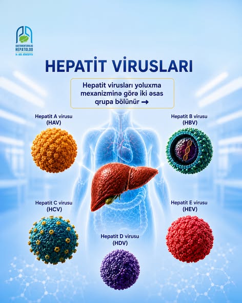 Hepatit viruslarının qaraciyərə təsiri - B və C növləri niyə daha təhlükəlidir?
