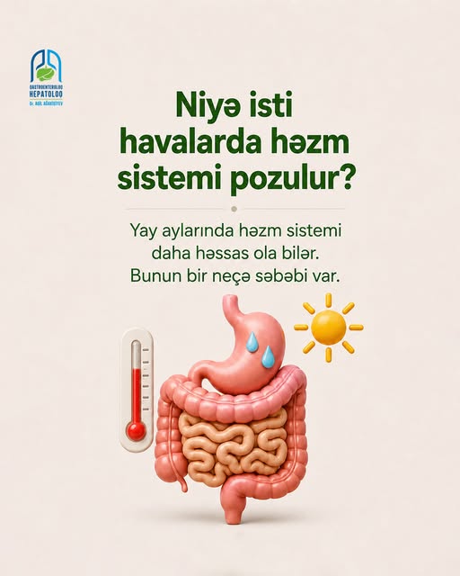 Yay aylarında həzm sistemini necə qorumalı?