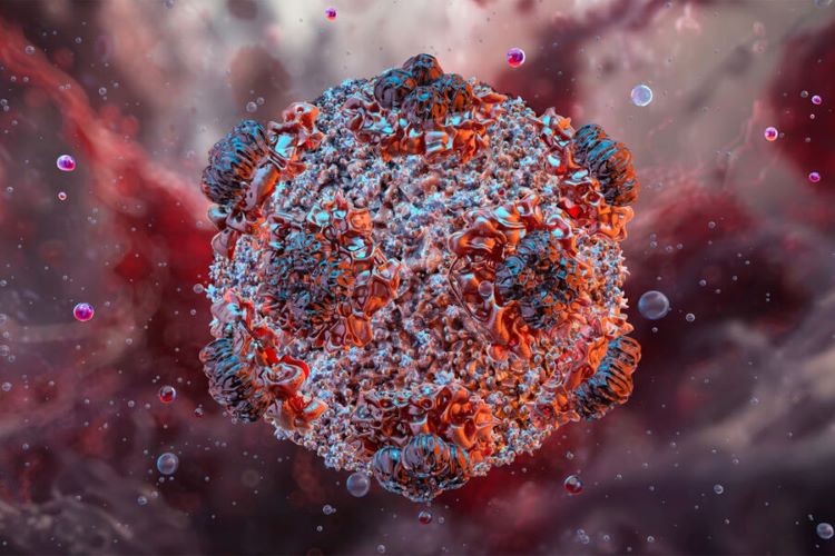 Çilidə hantavirus səbəbindən sanitar həyəcan rejimi elan edilib